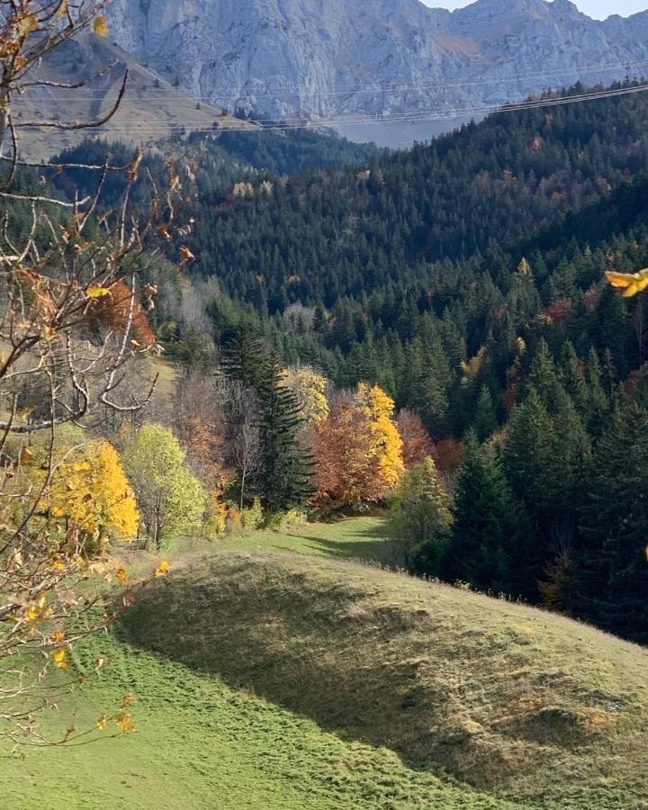 Bel Appart 3* Centre Village Villard-de-Lans Kültér fotó